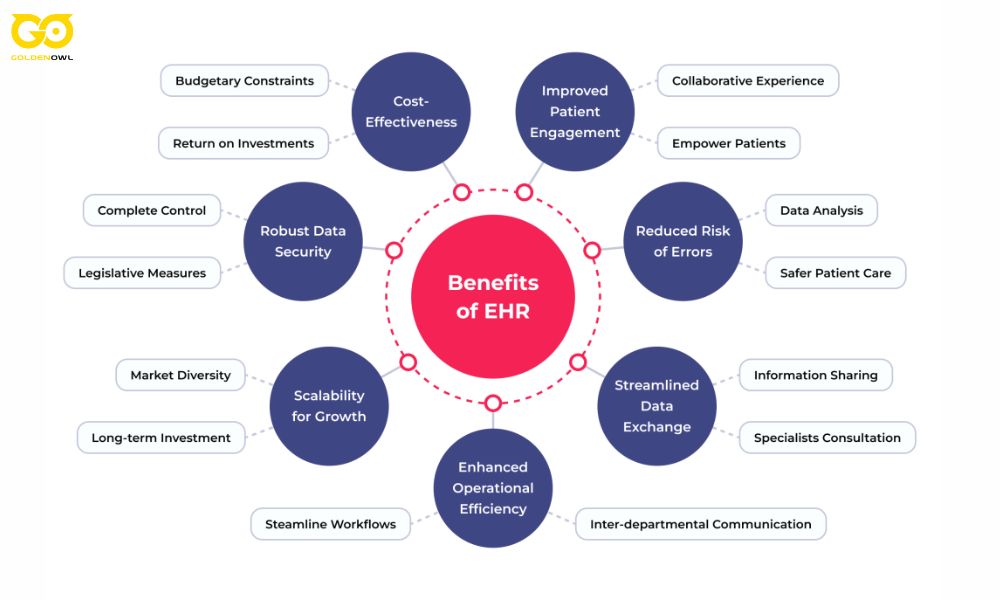 How to Build EHR Software in 6 Critical Stages
