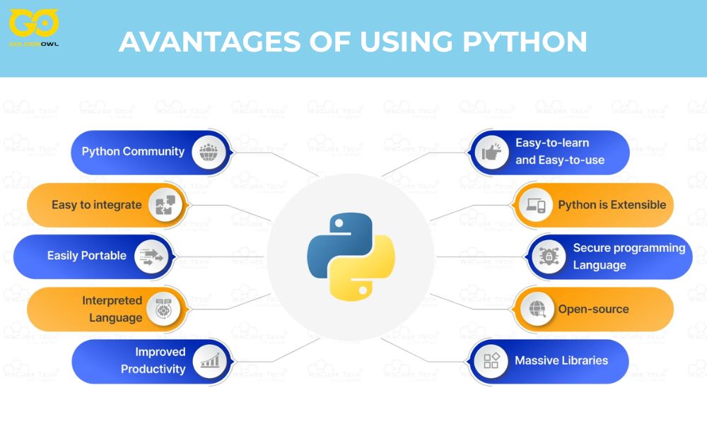 Why Choose Python for App Development in 2025?
