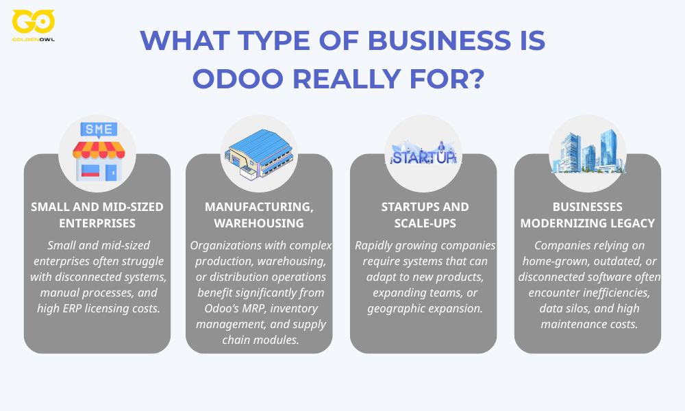 What Type of Business is Odoo Really For? 
