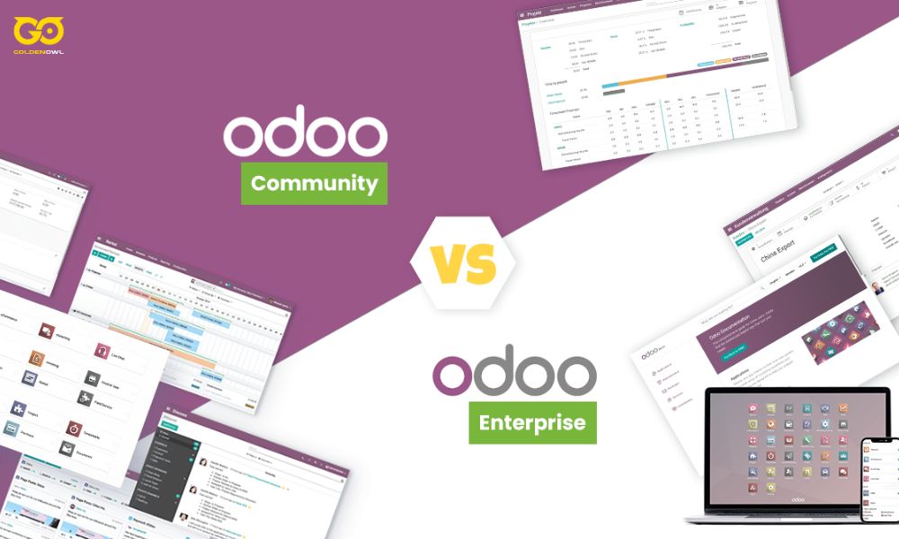 The Core B2B Decision: Odoo Community vs. Odoo Enterprise