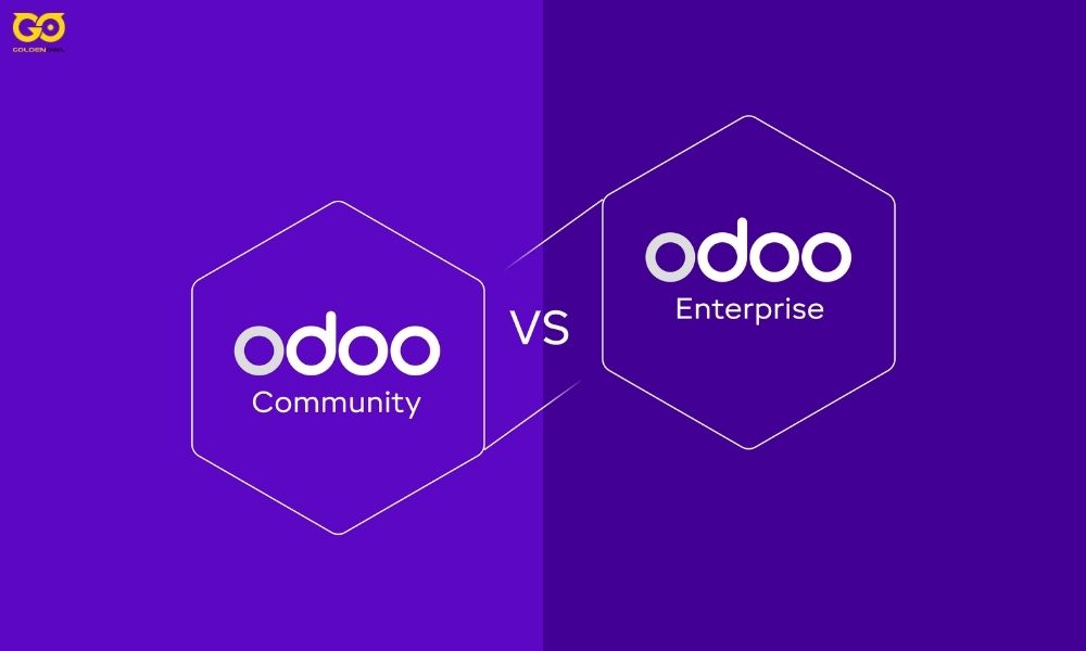 Step 3: Select the Right Odoo Version and Hosting Option